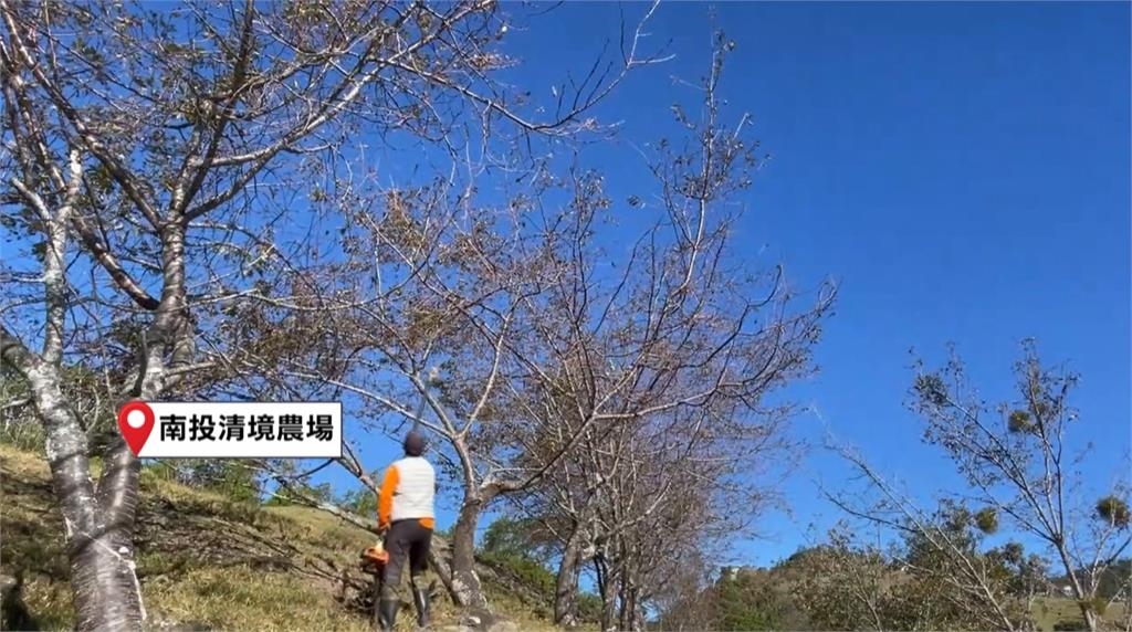 「鳳凰」颱風步步進逼!中部備戰 台中廚餘湖憂溢流、雲林稻農提前收割