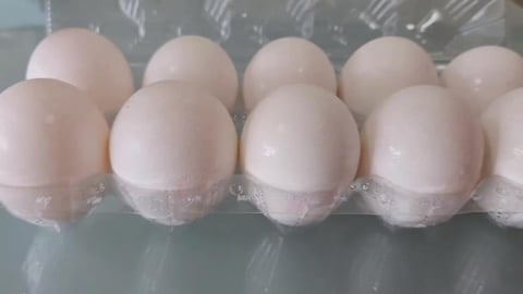 彰化養雞場雞蛋驗出「芬普尼」超標3倍　初步排除場內污染並解除移動管制