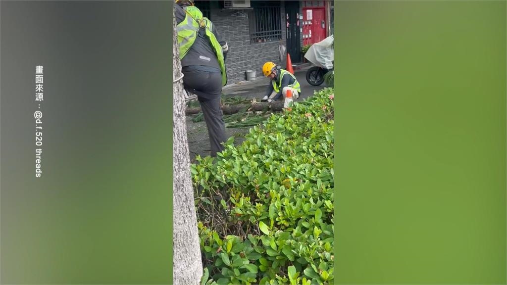 不敵強風! 北投立農公園路樹倒塌 壓毀民宅鋁窗 橫躺巷弄阻通行