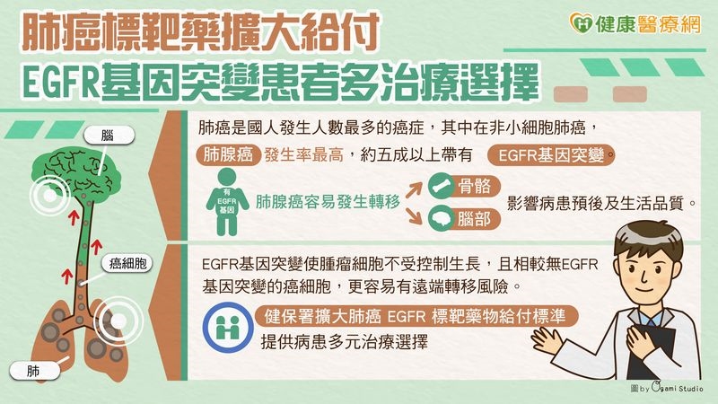 肺癌標靶藥擴大給付　EGFR基因突變患者多治療選擇