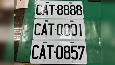 貓奴夢幻車牌「CAT8888」搶翻天　競標拍出57.6萬
