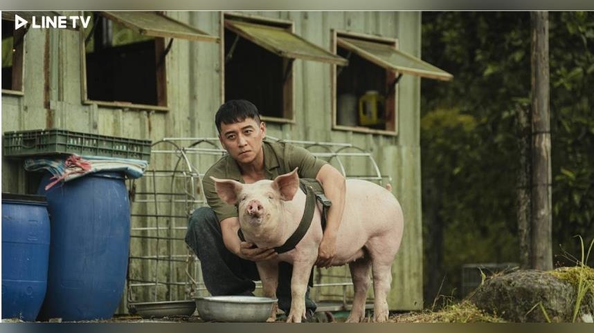 鄭人碩跟「豬演員」對戲： 好像真的在聽我講話