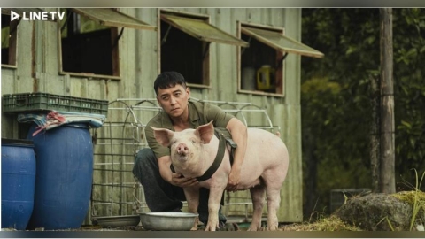 鄭人碩跟「豬演員」對戲： 好像真的在聽我講話