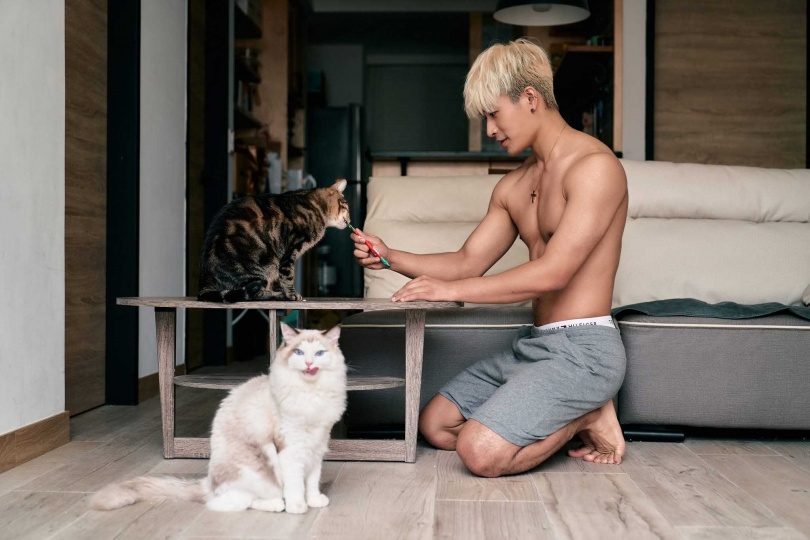 原本刺刺還養了一隻布偶貓悟空，但後來由朋友接養。（圖／造星文創娛樂有限公司提供）