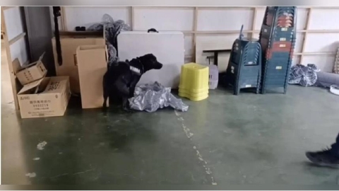 23歲藥頭毒品藏千坪倉庫角落　緝毒犬「雲斯頓」立大功嗅出隱藏K他命