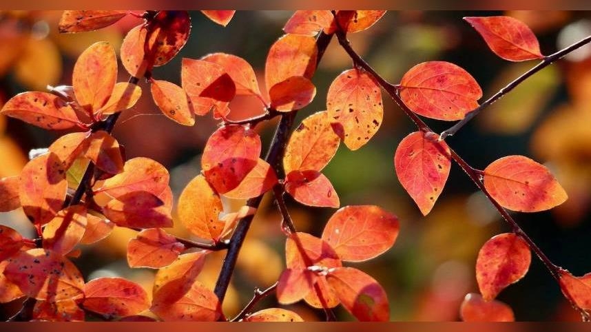 12星座最新一周運勢出爐　牡羊適合斷捨離、水瓶職場新氣象