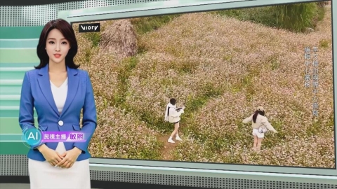 敏熙報氣象／越南宣光蕎麥花盛開　系列活動成重要旅遊亮點