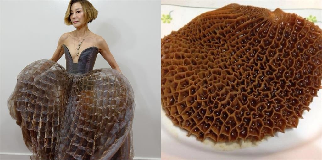 63歲楊紫瓊「中路大開」耍辣走紅毯！網見裙襬「激似1滷味」全笑瘋：突然好台