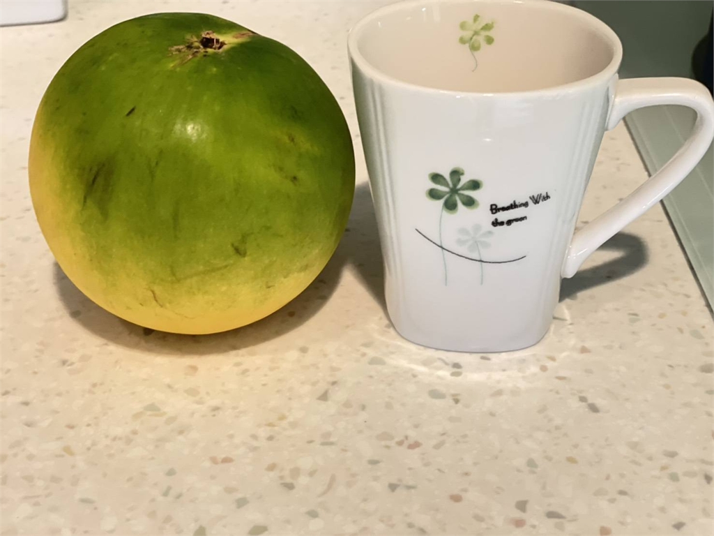 新北龜吼漁港爆「坑殺台灣人」!彭華幹轟「黃金果4顆988元」:要當盤子的快去