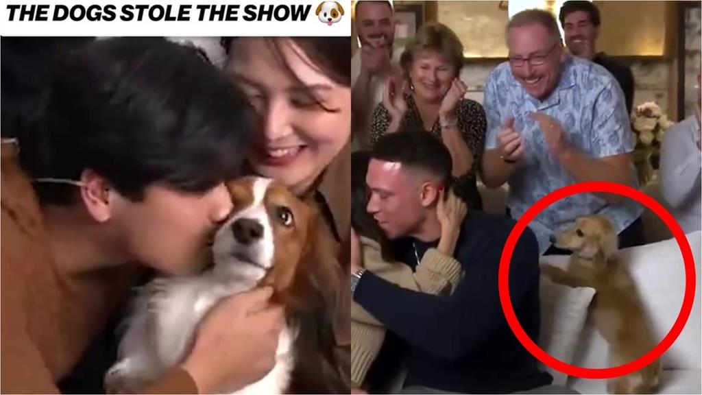 MLB(影)／養狗才能連霸？大谷翔平、法官獲獎「愛犬」互動吸睛獲讚「狗界MVP」