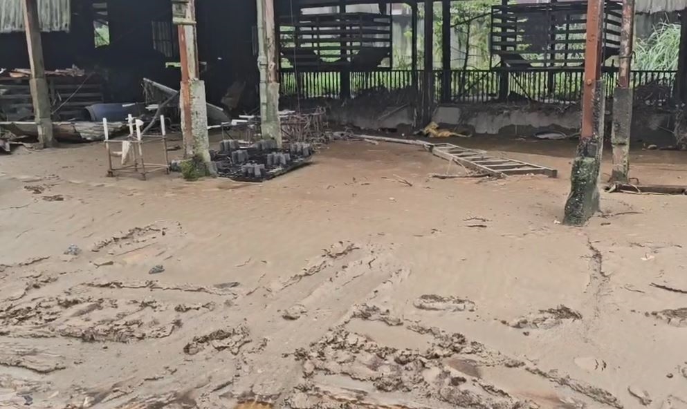 蘇澳民宅、養豬場遭土石掩埋　重機具緊急進駐協助清淤