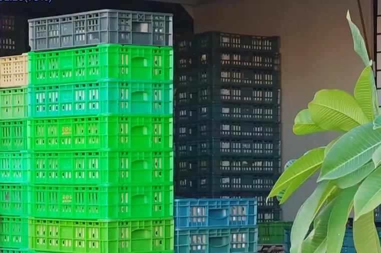 偷賣！彰化文雅芬普尼蛋非法流出　食藥署函送檢方偵辦