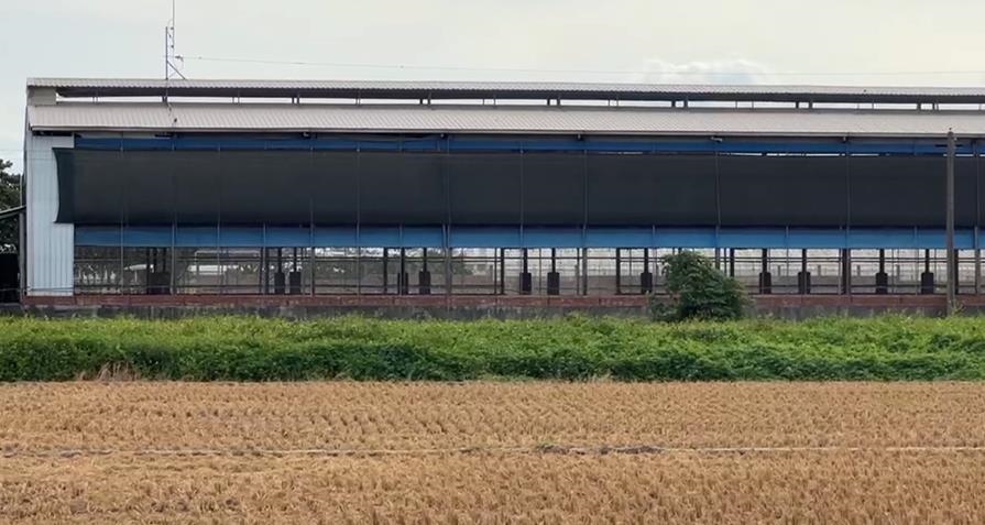 偷賣！彰化文雅芬普尼蛋非法流出　食藥署函送檢方偵辦