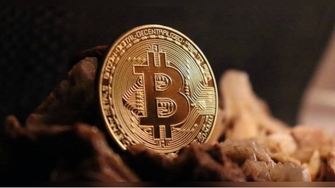 資金急轉空？　比特幣遇熊市失守9.5萬美元關