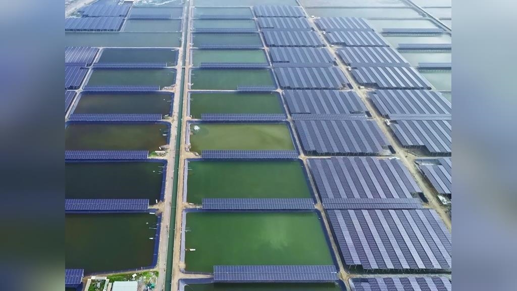 台灣綠電市場10度有3度來自它！綠能集體下殺，它卻獨霸