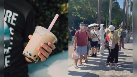 台大大氣系放鳥…地理系嘆「羞愧」霸氣送350杯飲料!店家證實:學長已付清