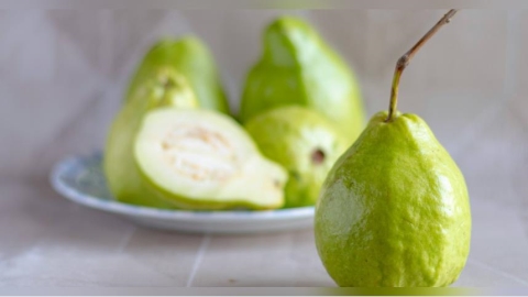 芭樂產量大減!每公斤飆94.9元 農會:12月中旬價格有望回穩