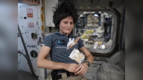 微重力的餐桌挑戰!太空餐如何克服味覺退化、抗輻射並撐過5年保存期?