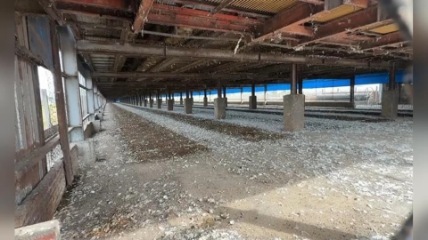 空窗?畜牧場未收公文就出蛋 梧棲區蛋行民眾退蛋