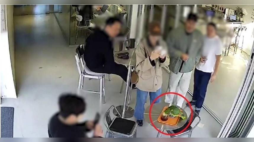 全球剩4000隻！瀕危鸚鵡飛進咖啡廳狂喝客人咖啡　警方緊急救援