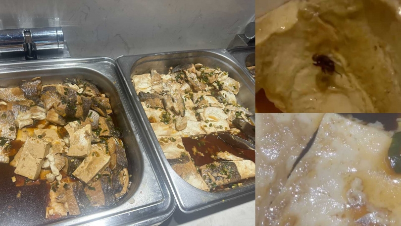 本刊曾接獲球員爆料,在8月2日的午餐「鱸魚豆腐」內有死蒼蠅,甚至出現活蛆。(圖/讀者提供)