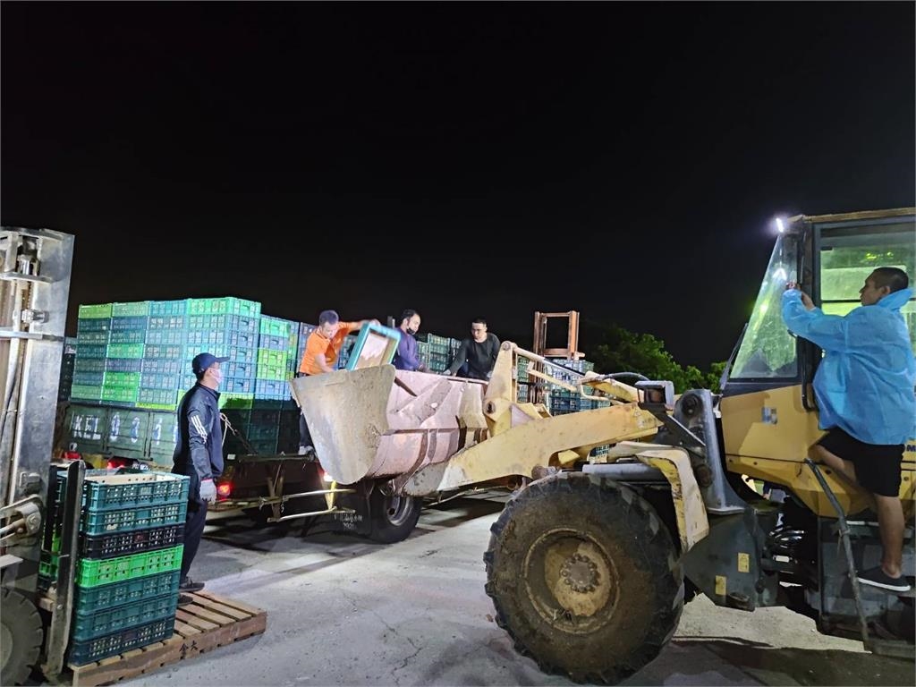 芬普尼毒蛋燒不停！　彰檢搜蛋行帶回負責人　訊後20萬交保