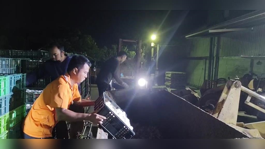 芬普尼毒蛋燒不停！　彰檢搜蛋行帶回負責人　訊後20萬交保