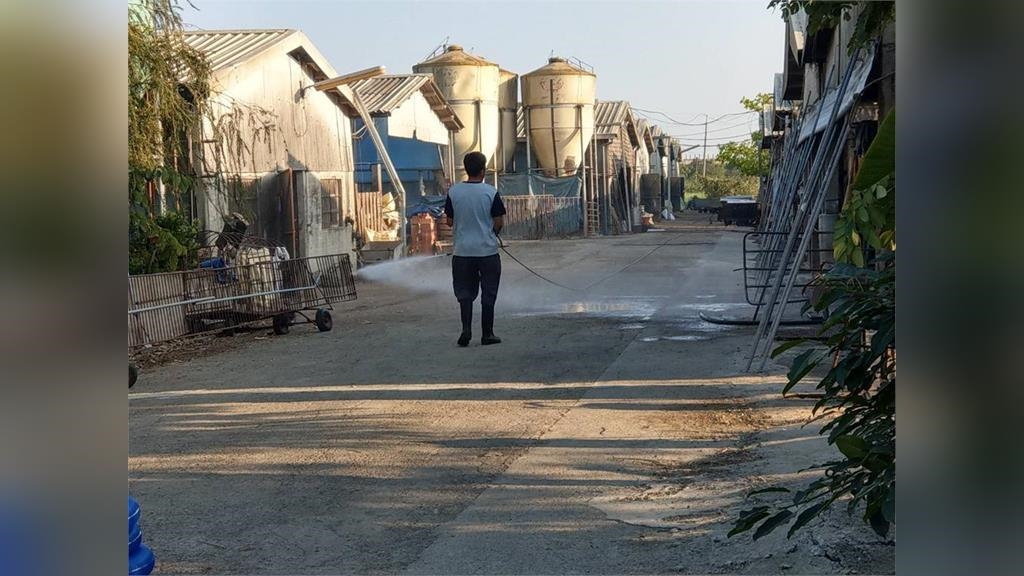 白河業者違規餵廚餘養豬　台南市府怒轟挑戰公權力重罰120萬元