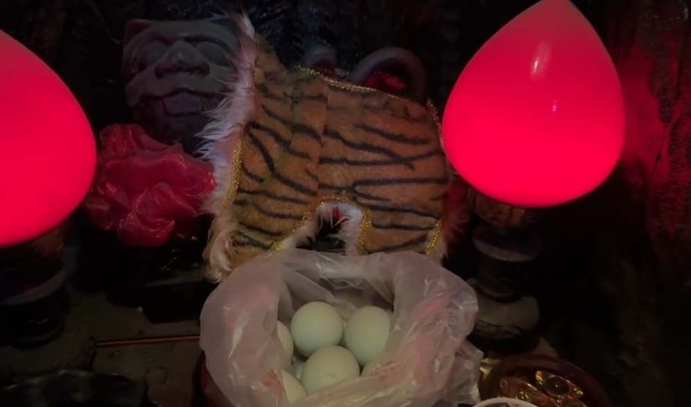 雲林土庫虎爺不是貓咪! 信徒供俸貓罐頭竟發火發爐