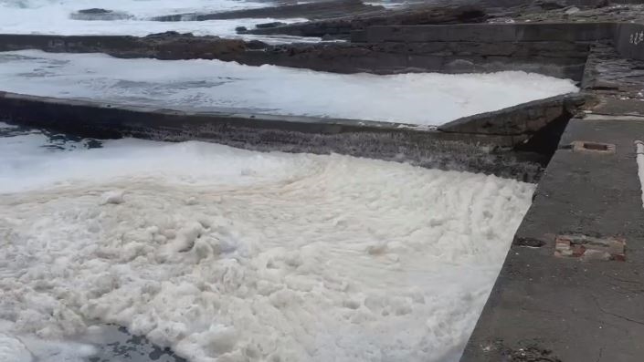 貢寮驚現「奶泡海」奇景恐影響生態　海洋專家解密「形成原因」