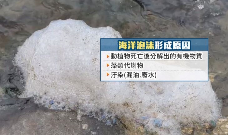 貢寮驚現「奶泡海」奇景恐影響生態　海洋專家解密「形成原因」