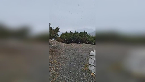 玉山「降下初雪」了!歷時半小時