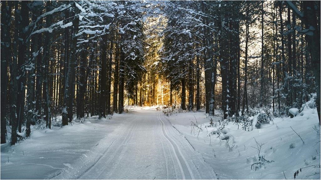 全台「氣溫大變天」手腳冷到睡不著…醫教「4招」暖身法：促進血液循環！