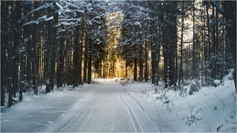 全台「氣溫大變天」手腳冷到睡不著…醫教「4招」暖身法:促進血液循環!