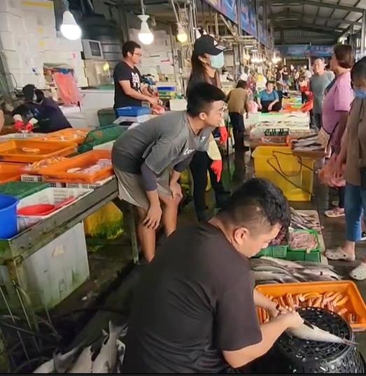 低溫助攻12天捕7400尾　漁民2百萬年終先入帳