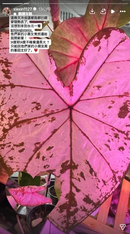 謝忻「遭1液體噴臉」整個爛掉!始末全還原怒喊:基隆人到底欠了誰