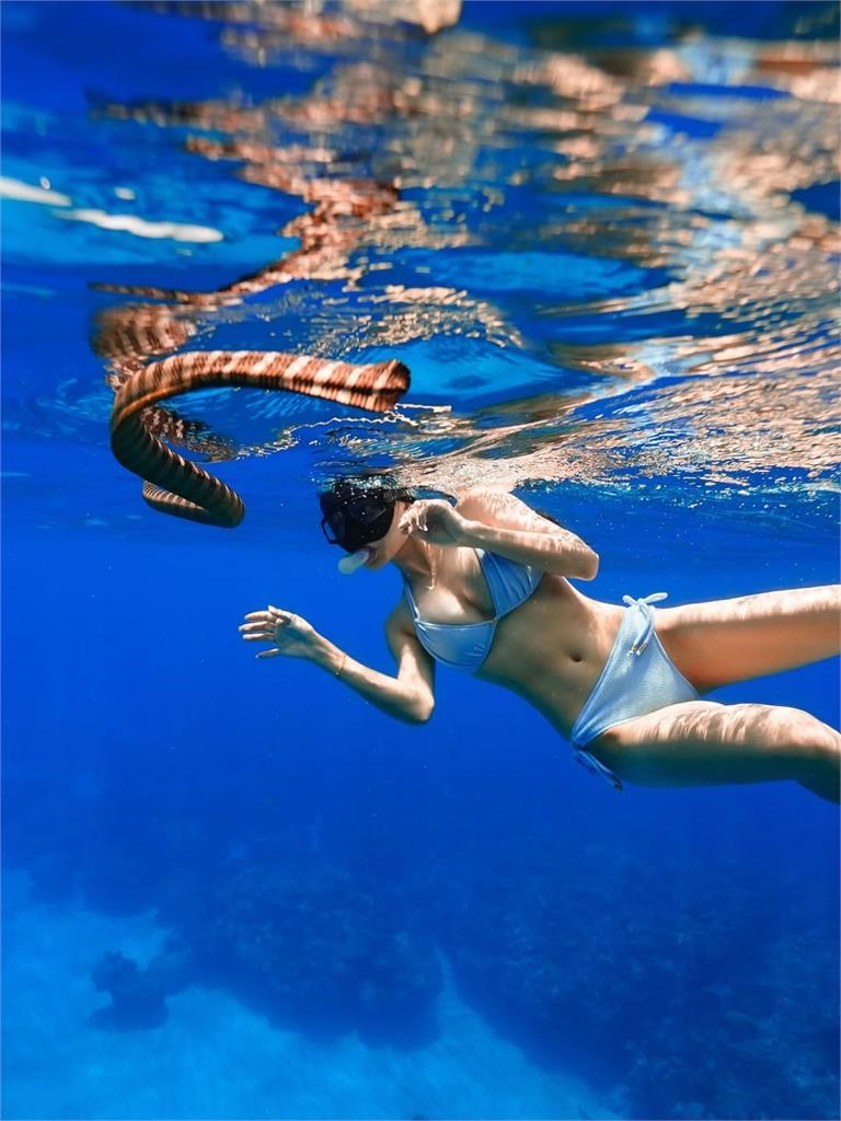 髮香來尬聊(圖影)／聽爸一席話踏上應援之路！「富邦張韶涵」卡洛琳大展歌喉收割琳魂