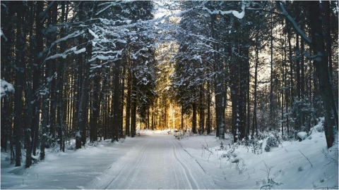 明起小雪來臨「早晚溫差大」！醫親授3養生模式「早睡晚起」蓄積能量