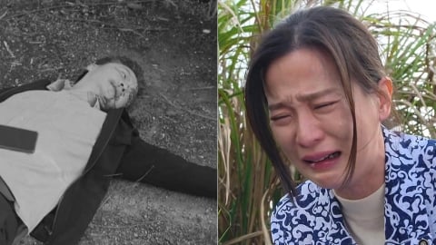 《好運來》楚宣再飆演技！見夫被「致命痛毆」淚崩　網怒：克帆怎麼下得了手？