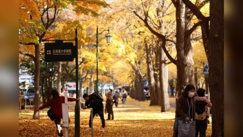 中對日祭觀光制裁! 旅日"品質飆升" 廉航加碼祭優惠