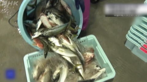 日本福島5縣食品全解禁! 食藥署:取消邊境逐批檢查、回歸常態管理