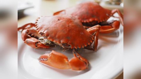 挑螃蟹牢記這3招 品嘗秋季肥美好滋味