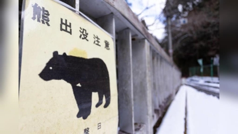 「熊出沒」不敢出門！　日民眾失眠缺運動健康亮紅燈