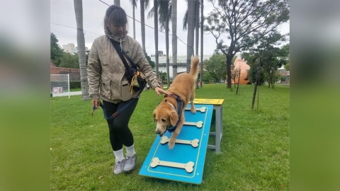 毛寶貝同樂迎耶誕 新北打造寵物友善遊樂園溫馨登場