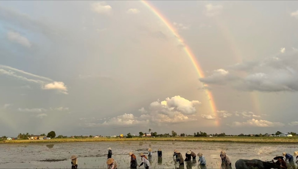 范冰冰金馬封后2喊中國「被消失」！逃到IG爆出「遭封殺7年真心話」認了這壓力