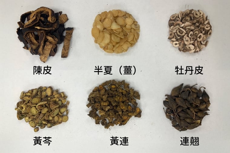 乳癌不只是化療! 中醫輔助緩解嘔吐、提升體力和食慾