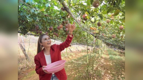 知名演員梁佑南力挺果農!打工換果樂開懷!