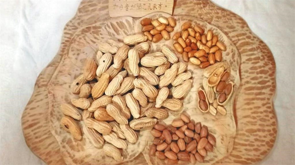 「花生木雕」太逼真!高雄雕刻大神作品 遭日本海關扣留兩天