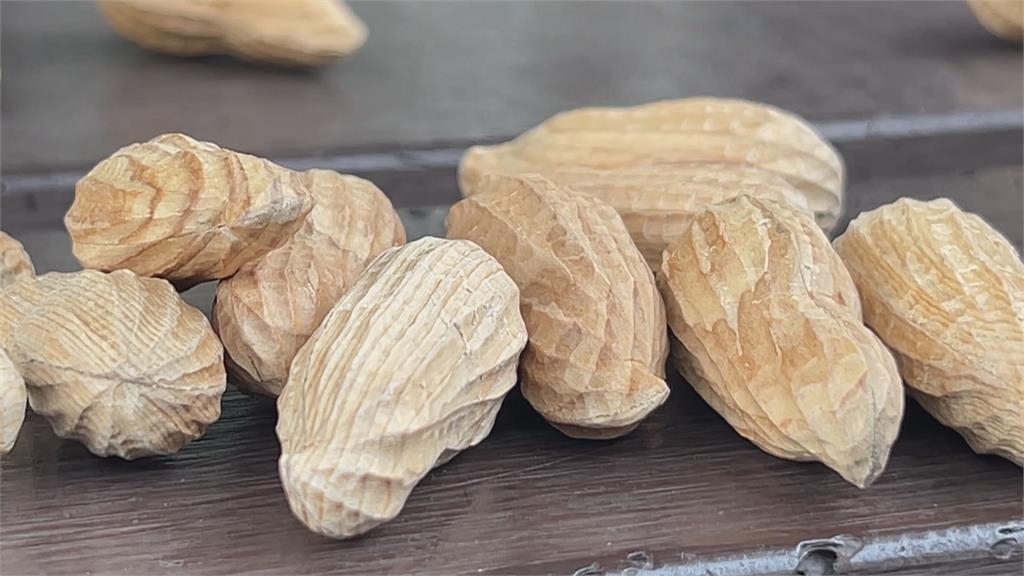 「花生木雕」太逼真!高雄雕刻大神作品 遭日本海關扣留兩天