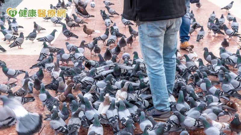 全球首例！美國爆人類感染 H5N5 禽流感亡　專家揭可能傳染來源